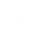 Icon Custom