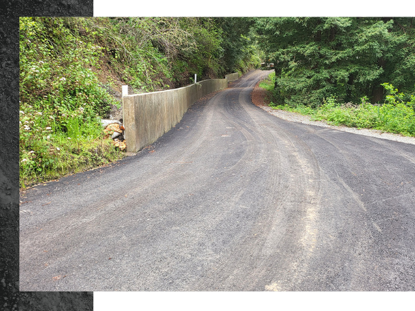 Residential Paving