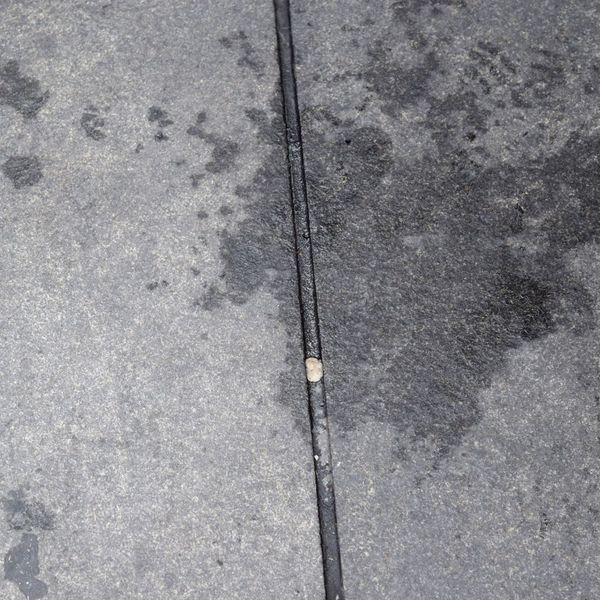 stained concrete Understanding the Benefits of Sealing Your Residential Concrete (3).jpg