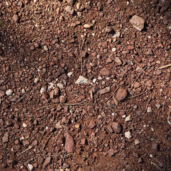 close-up of soil close-up of soil