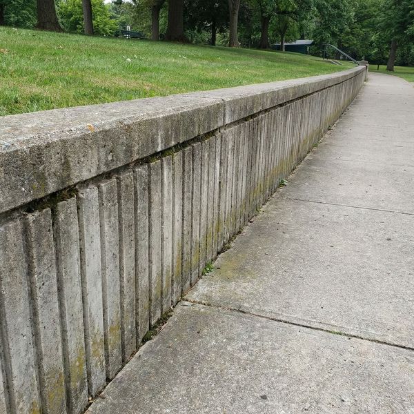 Blog Images 4Artboard 4.jpg