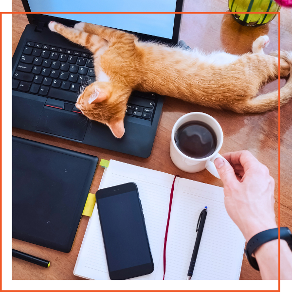 Supporting Pet Owners Through the Remote Work Revolution-1.png