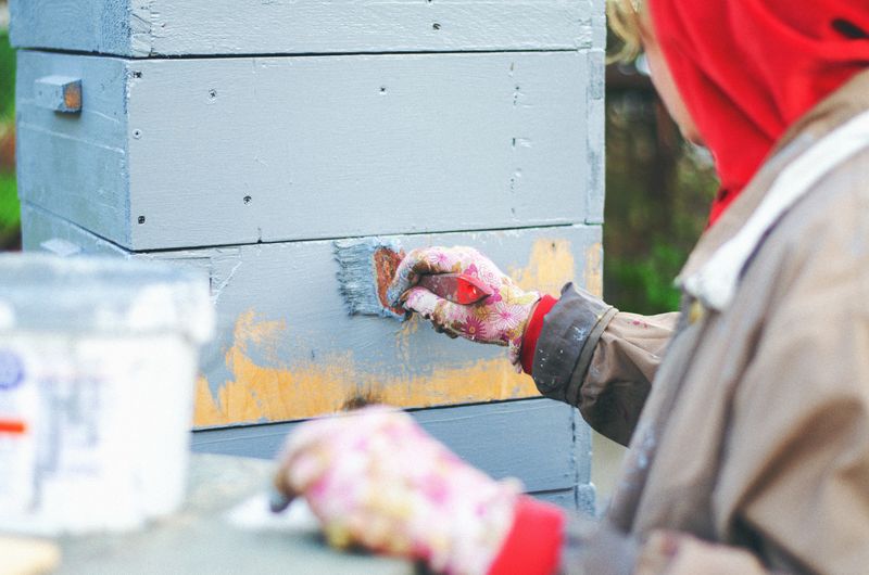 woman-paints-bee-hives-with-gray-paint-2023-11-27-05-05-47-utc.jpg