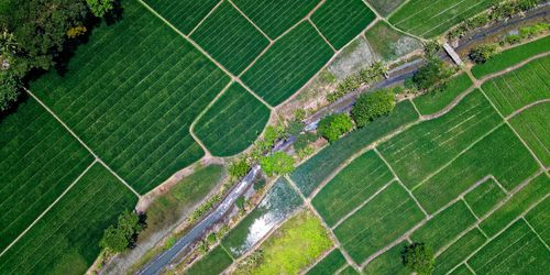Aerial view of a farm and crop fields