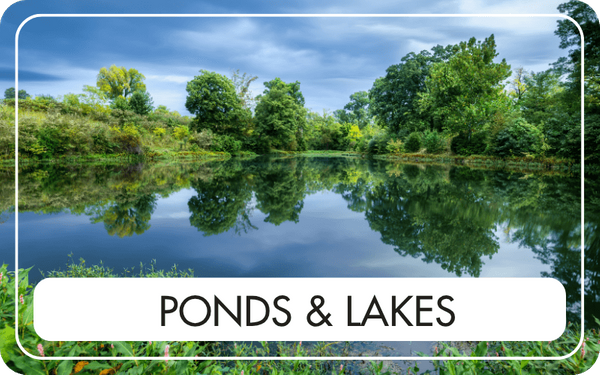 Ponds and Lakes - CTA Image.png