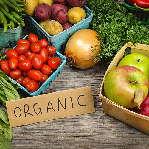 Why Nutrient Supplements Are Essential For Organic Farming BB Image 4.jpg