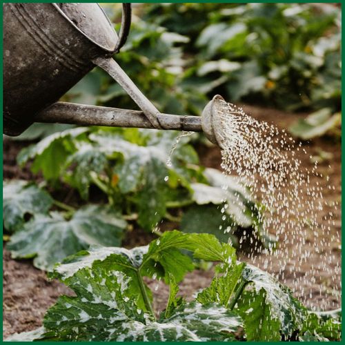 How Healthy Soil Supports Better Crop Yields4.jpg