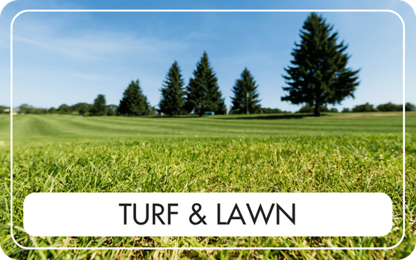 Turf and Lawn - CTA Image.png