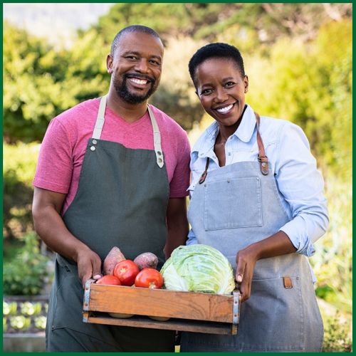 3-The Importance Of Organic Farming In Todays Agriculture.jpg