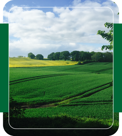 agricultural farming field agricultural farming field