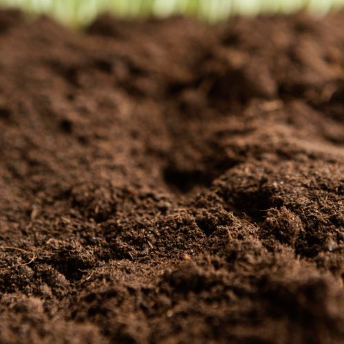 image of soil