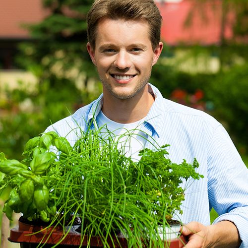 4 Reasons To Prioritize Organic Inputs For Your Garden BB Image 4.jpg