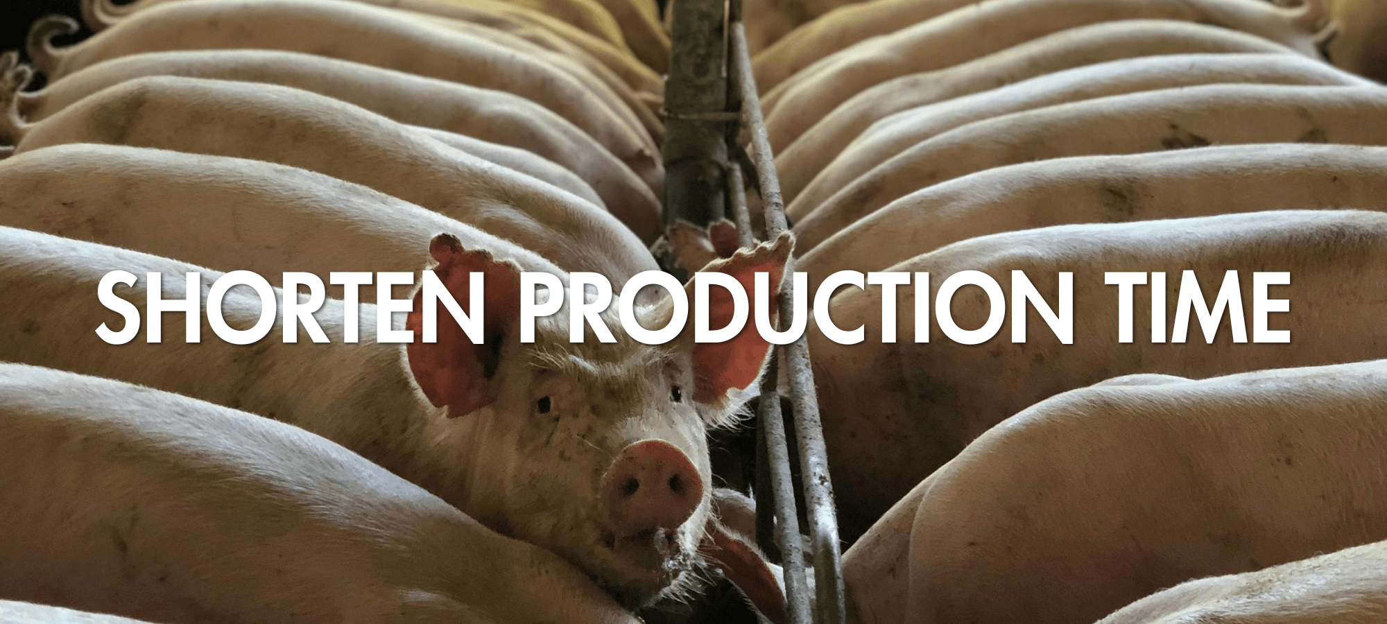 Shorten Production Time