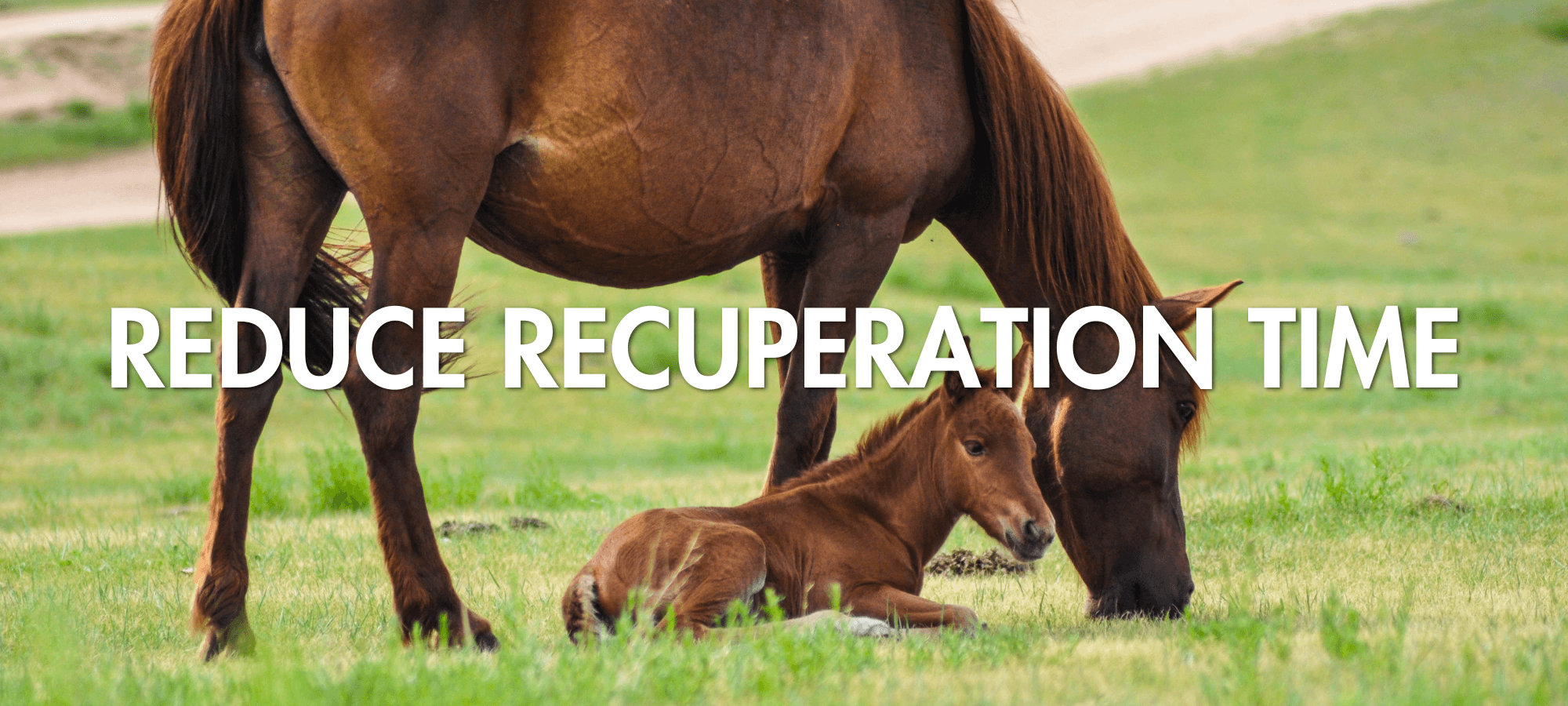 Reduce Recuperation Time Reduce Recuperation Time