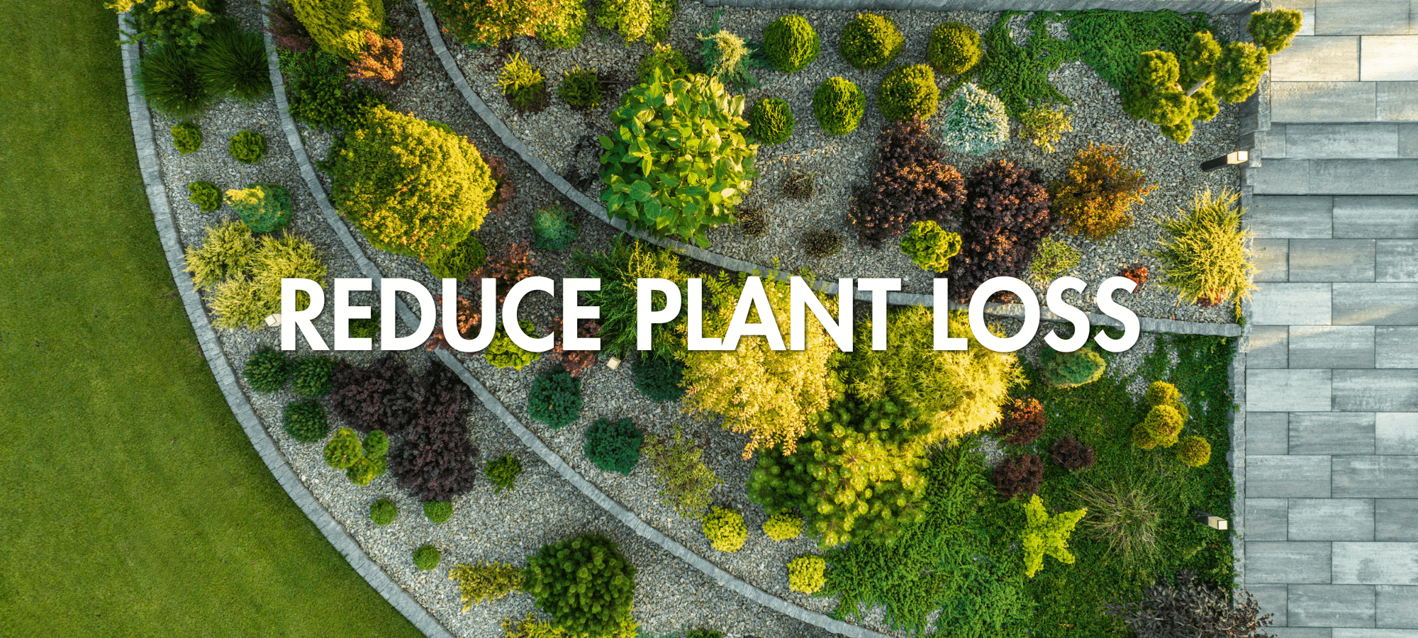 Reduce Plant Loss Reduce Plant Loss