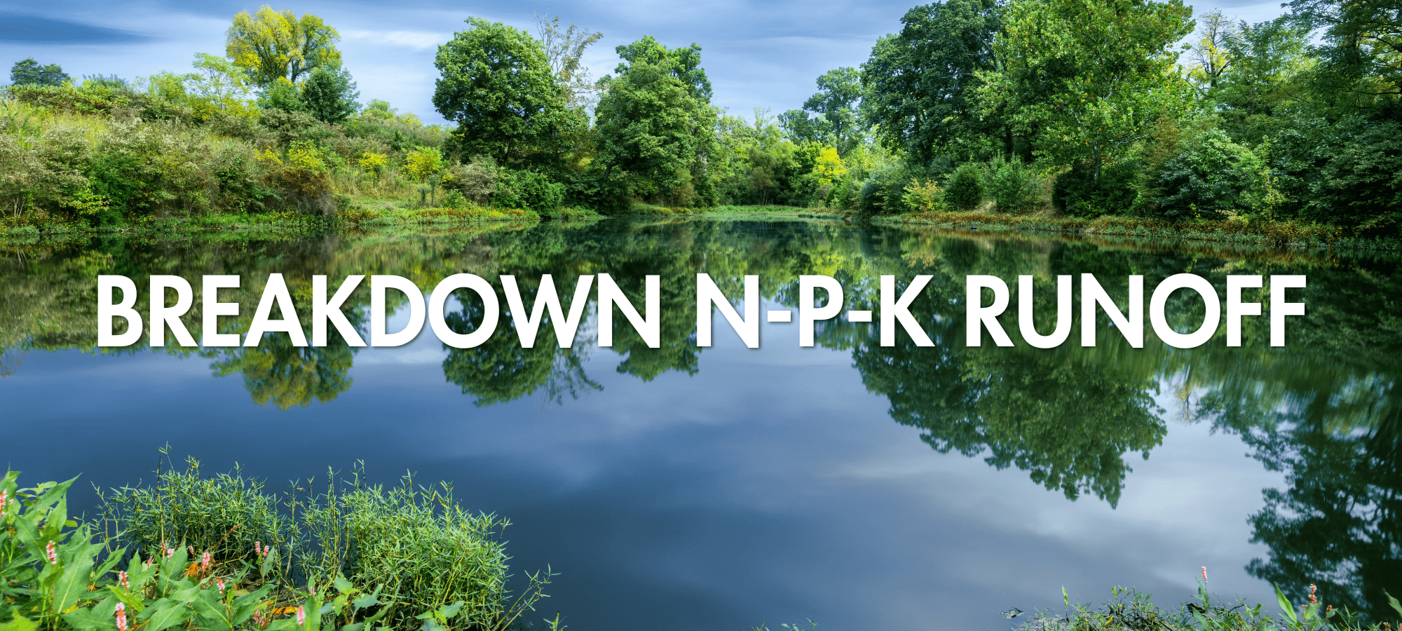 Lakes and Ponds page Full Width Image.png