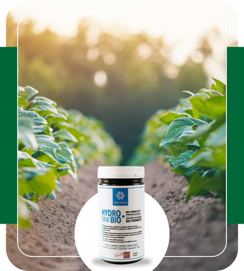 Hyrdo-Bio product bottle and rows of crops in background Hyrdo-Bio product bottle and rows of crops in background