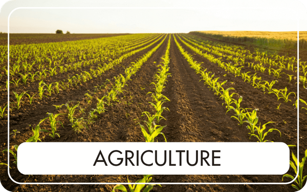 Agriculture - CTA Image.png