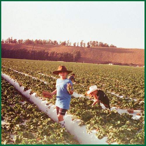 Little boys playing on a farm