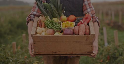Hero-The Importance Of Organic Farming In Todays Agriculture.jpg