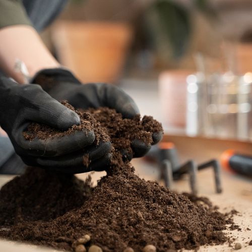 image of healthy soil