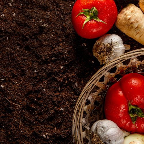 image of healthy soil