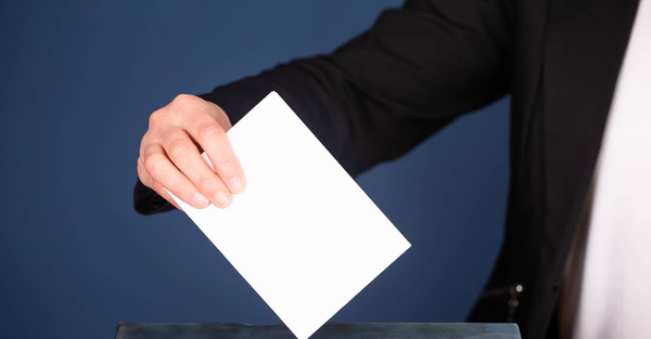 image of a voter