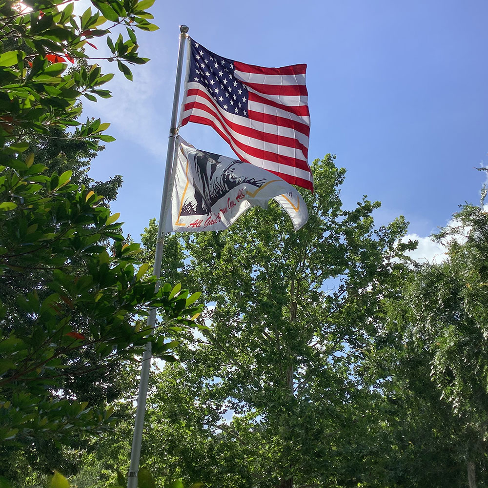 image of an american flag