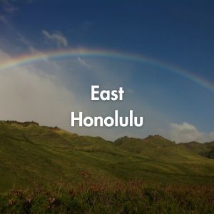 East Honolulu.jpg