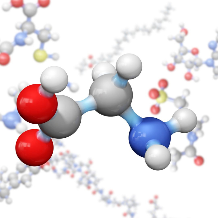 amino acid structure