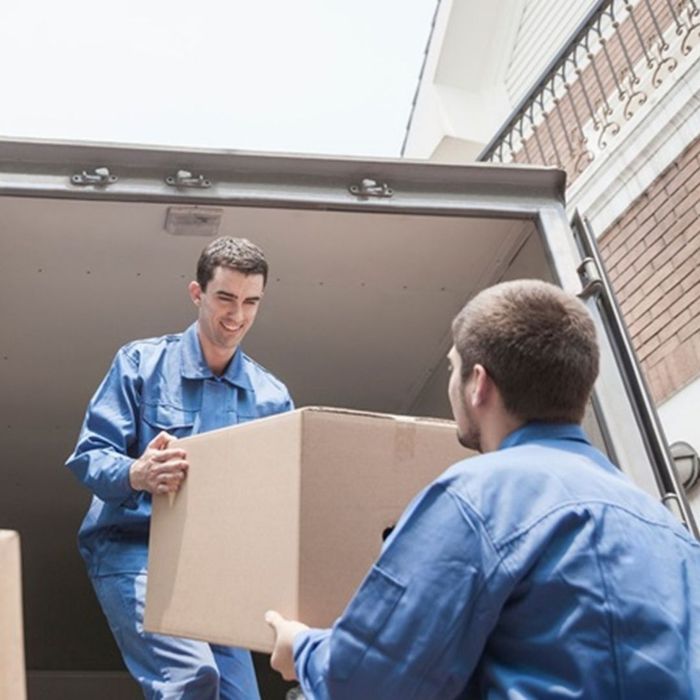 movers transporting boxes
