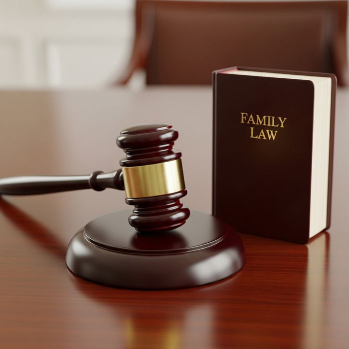 Types Of Parenting Plans And Custody Schedules1.jpeg