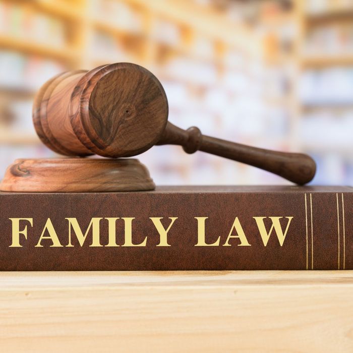 Main Types Of Child-Related Legal Services4.jpg