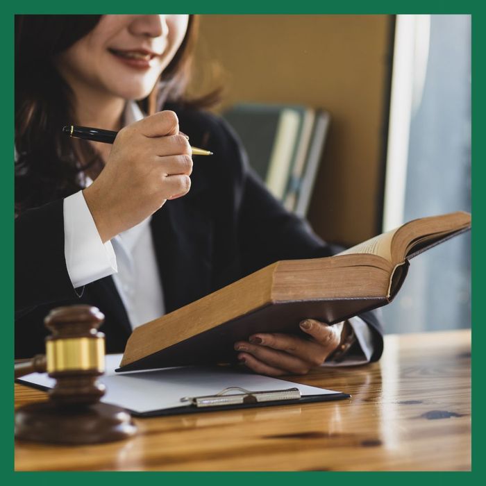 Lawyer looking at a law book