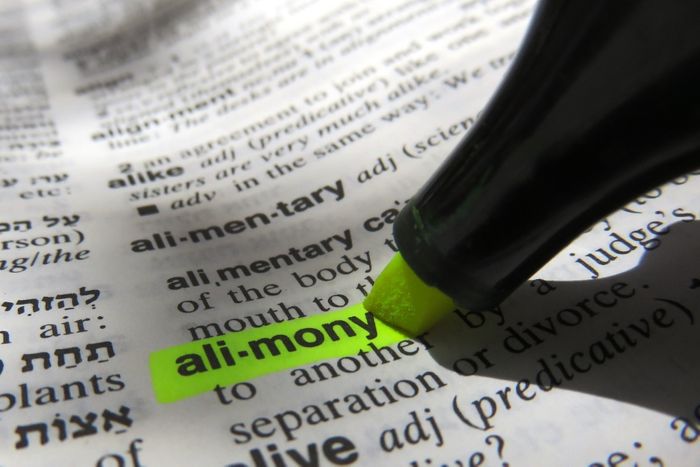 image of alimony in the dictionary