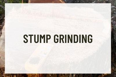 Stump Grinding