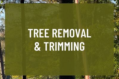 Tree Removal & Trimming