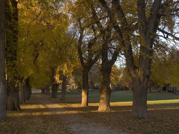 the Oval at Colorado State University campus in late autumn