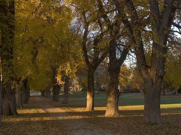 The Oval at CSU