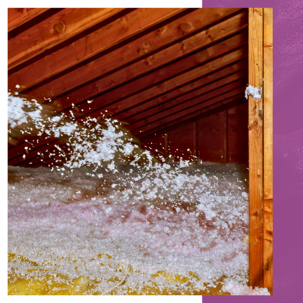 Attic Insulation-2.png