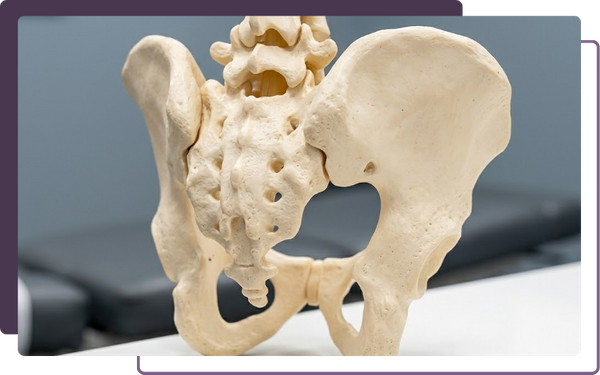 A detailed, high-resolution photographic close-up focusing sharply on the sacroiliac (SI) joint structure of a physical human pelvic model. The model sits on a clean white countertop, consistent with the professional clinical background.