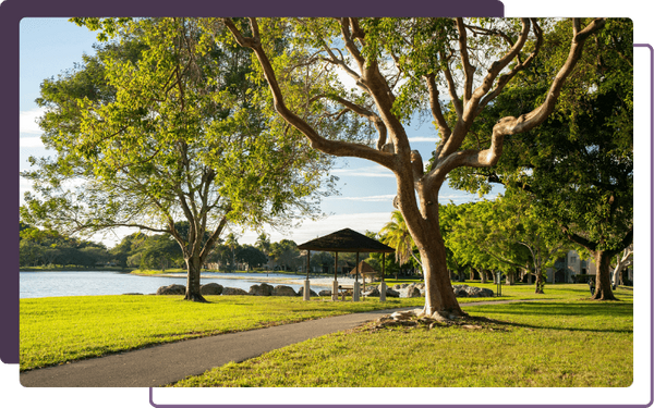 relaxing scene at a park