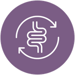 Support for Healthy Digestion - Icon.png