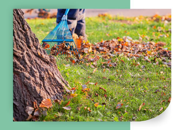 Landscaper Raking Up Dead Leaves