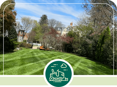 Lawn Care and Maintenance