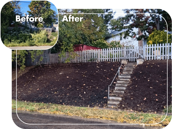 Residential Lawn Care and Maintenance - Before and after maintenance