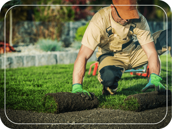 landscaping - sod install