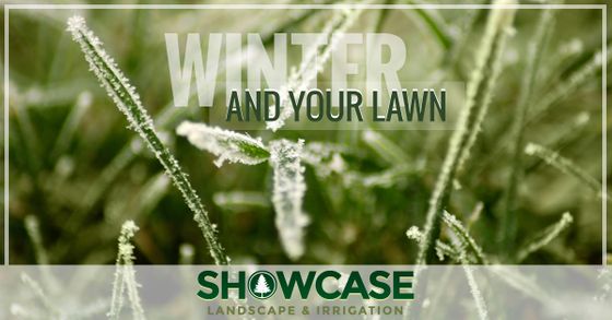 Winter-and-Your-Lawn-5a99c17d7a47a.jpg