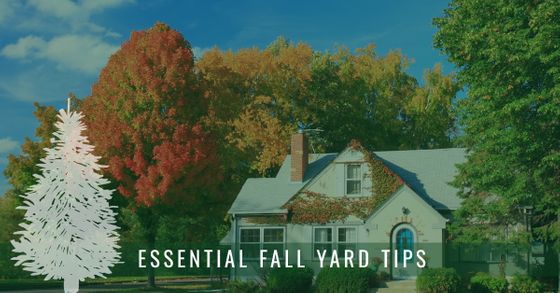 Essential-Fall-Yard-Tips-5ba00c991fdfc.jpg