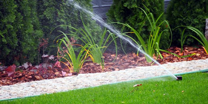 Sprinkler running water in backyard